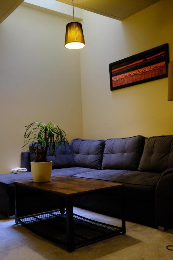 City Apartment Getta Krakow Ngoại thất bức ảnh